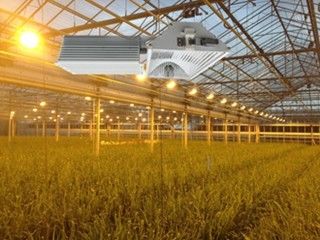155lm/w 160000lm 실내 성장 빛, 1000W HPS 성장 빛