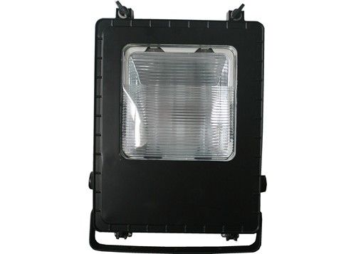 100w IP65 경기장은 빛 빌보드 금속 할로겐화물 광고를 성장시킵니다