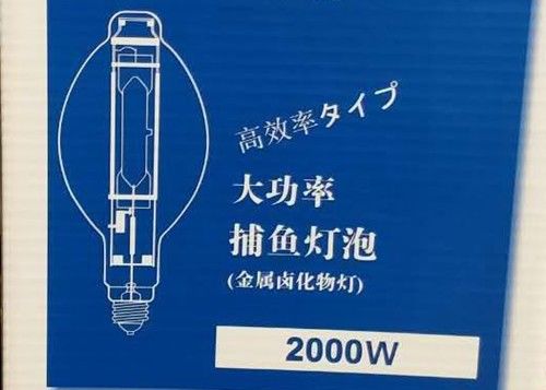BT220 2000w MH 전구 어로등은 램프를 잡는 금속 할로겐화물 오징어를 숨겼습니다
