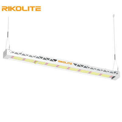 SMD3030 IP65 300w 전체 스펙트럼은 빛, 1450umol/s에 의하여 지도된 표시등 막대 정착물을 성장합니다