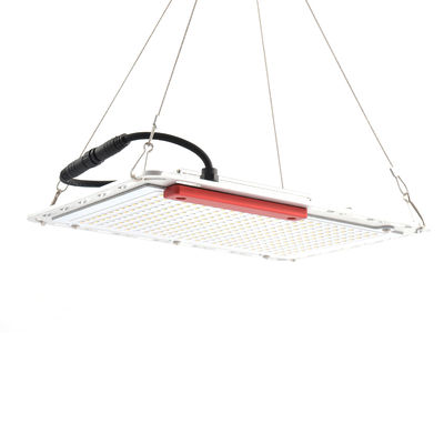 60Hz 100W 주도하는 야채는 빛을 성장시킵니다, 실내인 특정량 이사회 SMD5730이 빛을 성장시킵니다