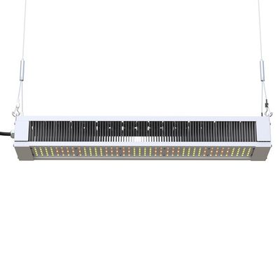 RikoLite 240W 전체 스펙트럼 LED는 가벼운 호리호리한 막대기를 성장합니다, AL1100 원예 LED는 빛을 성장합니다