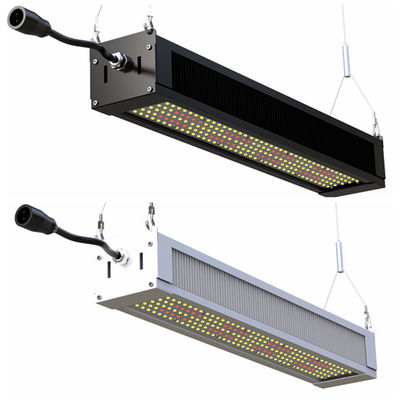RikoLite 240W 전체 스펙트럼 LED는 가벼운 호리호리한 막대기를 성장합니다, AL1100 원예 LED는 빛을 성장합니다