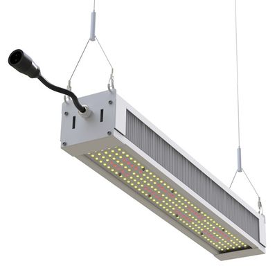 RikoLite 240W 전체 스펙트럼 LED는 가벼운 호리호리한 막대기를 성장합니다, AL1100 원예 LED는 빛을 성장합니다