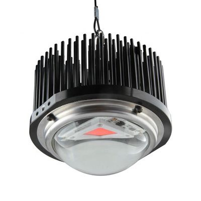 이끌린 집에서 만든 50W DOB는 빛을 성장시킵니다, Cob 1M2 전체 스펙트럼이 광 키트를 성장시킵니다