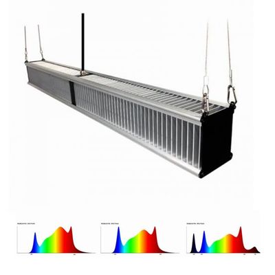 800w 2.7μMol/J 온실 식물은 1000w 슬림 바를 보내게 한 빛 원예학 혼합체를 성장시킵니다