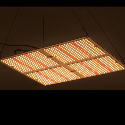 Rikolite 400w 고성능 지도된 성장 빛, 149.6m/W 수경 식물 성장 빛