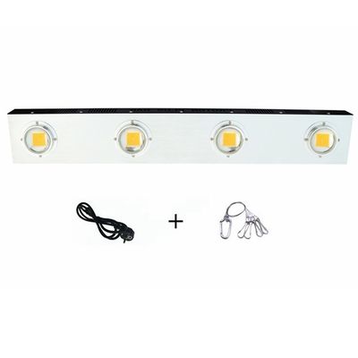 RikoLite 0.2KW 식물 Led 성장 조명 200w 실내 대마초 UV 자외선