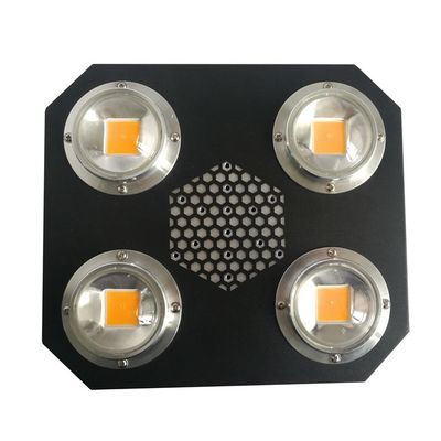 Rikolite 780nm 식물은 실내 UV 손가락으로 튀김 옥수수 속 알루미늄 합금 AC855V에 의하여 성장하는 빛을 지도했습니다