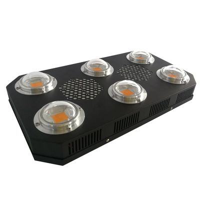 이끌린 300W 38 밀리리터 UV 식물은 빛 리코라이트 cob 깜빡임 방지를 성장시킵니다