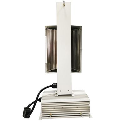 220HZ DE Cmh 1000w 정착물, De IP68 Cmh는 빛을 성장합니다