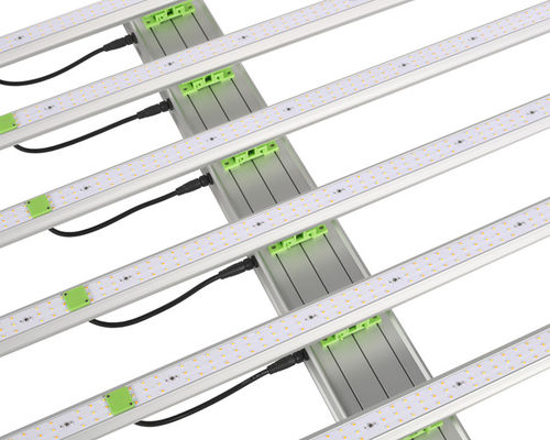 600W 1560μMol 식물 LED 성장 조명 6 막대 EPAR 380nm-760nm