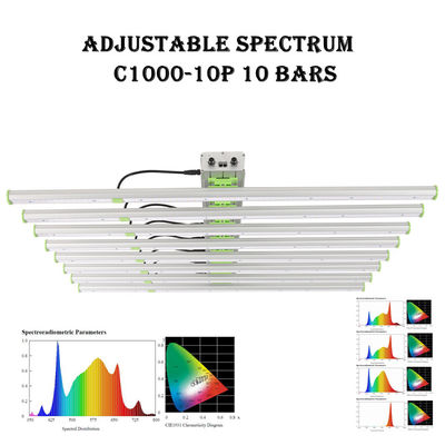 2500μMol 10 막대 EPAR 760nm 식물 LED 성장 조명 1000W SMD3030