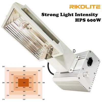 고강도 Light Air Pro 600W HPS는 온실을 위해 빛을 키웁니다