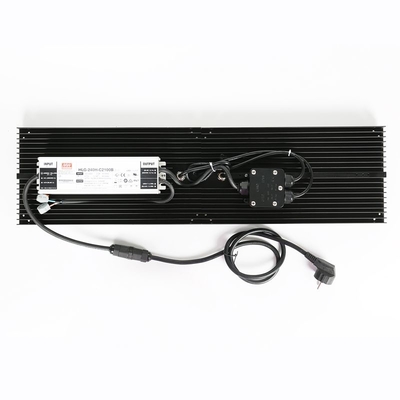 방수 IP65 주도하는 풀은 농업인 것을 위한 빛 240W 삼성 특정량 이사회를 성장시킵니다