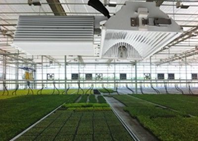 이끌리는 것으로 숨긴 1050uMol/S는 빛을 성장시킵니다, 630W 농작물 세라믹 금속 할라이드가 빛을 성장시킵니다