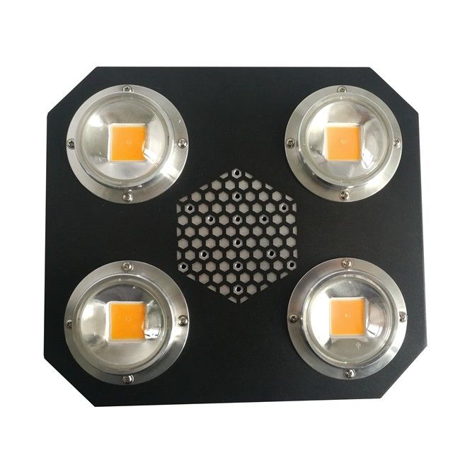Rikolite 780nm 식물은 실내 UV 손가락으로 튀김 옥수수 속 알루미늄 합금 AC855V에 의하여 성장하는 빛을 지도했습니다